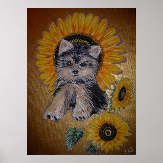 Poster Joli petit chien et tournesols (Devant)