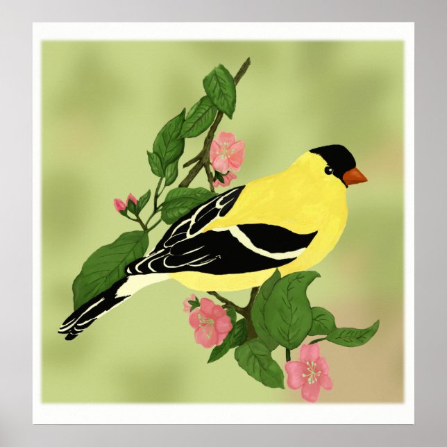 Poster Joli Petit Oiseau Goldfinch (Devant)