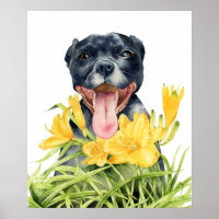 Joli Pitbull Chien dans Jardin Fleur Jaune