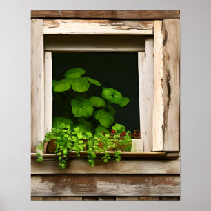 Poster Joli Plantes dans fenêtre rustique avec bois Patin