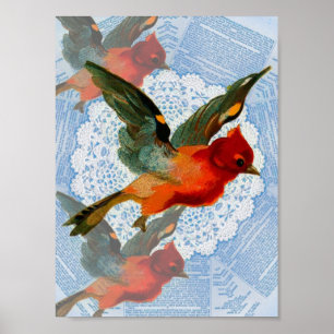 Poster Jolie Birdie