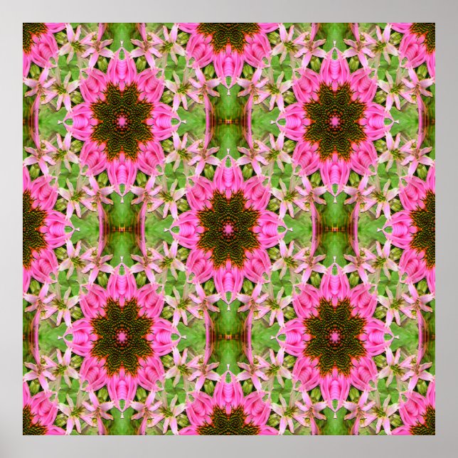 Poster Jolie Echanicea...... (Devant)