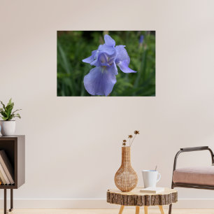Poster Jolie fenêtre Fleur Iris