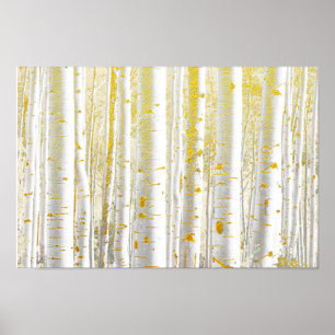 Poster Jolie forêt de bouleaux blancs broyés d'or