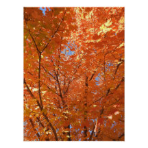 Poster Jolie Orange Fall Leaves
