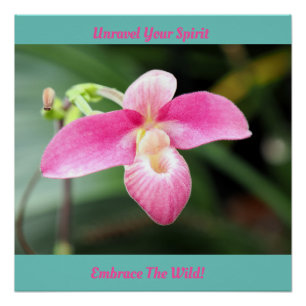 Poster Jolie Orchidée rose