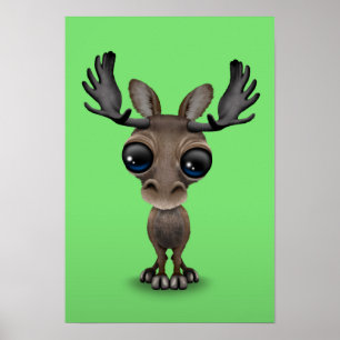 Poster Jolie orignale curieuse avec de grands yeux sur ve
