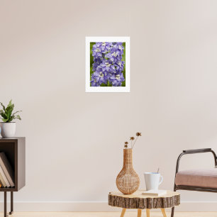 Poster Jolie photo florale de Delphinium violet
