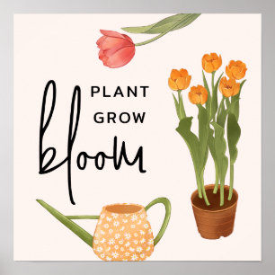Poster Jolie Plante de script croissance fleur Tulip