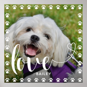 Poster Jolie Valentines de la journée Animaux de compagni