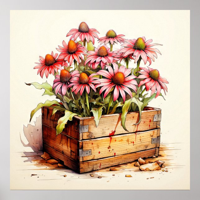 Poster Jolies fleurs d'aster plantées (Devant)