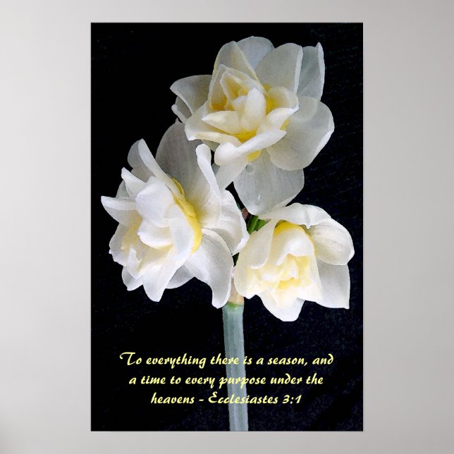 Poster Jonquil Flower - Ecclesiastes 3:1 (Devant)