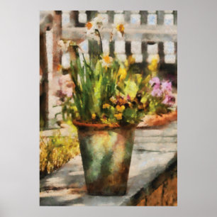 Poster Jonquille - Un pot de jonquilles