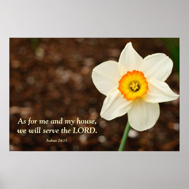 Poster Joshua 24:15 Bible Verse Daffodil (Devant)
