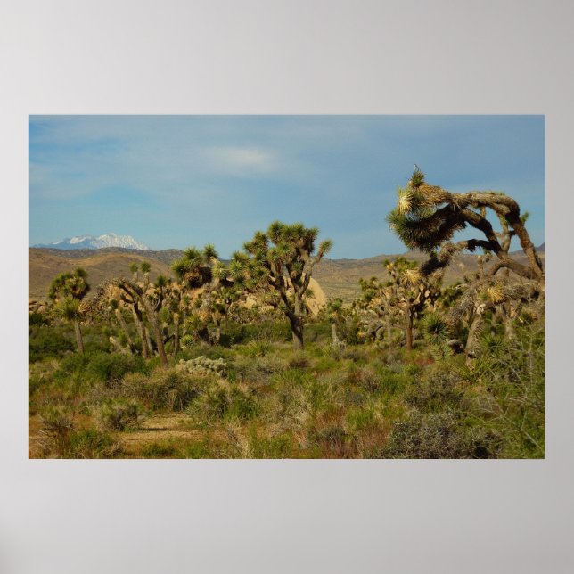 Poster Joshua Tree National Park Paysage du désert (Devant)