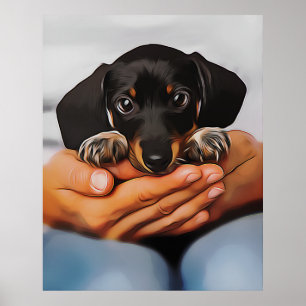 Poster Jote Chiot Dachshund Qui Met À Jour Les Genoux Hum
