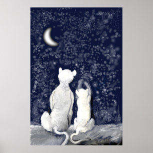 Poster "Jouant avec des étoiles "