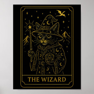 Poster Joueur Rpg Sorcier D20 Dés Nerd Geek Chat Hommes F