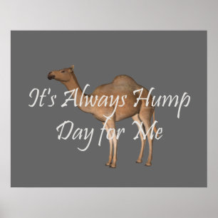 Poster Jour de la Humpe