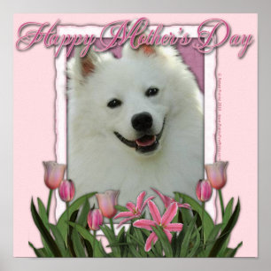 Poster Jour de mères - tulipes roses - berger allemand
