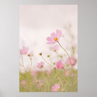 POSTER JOUR DE WINDY