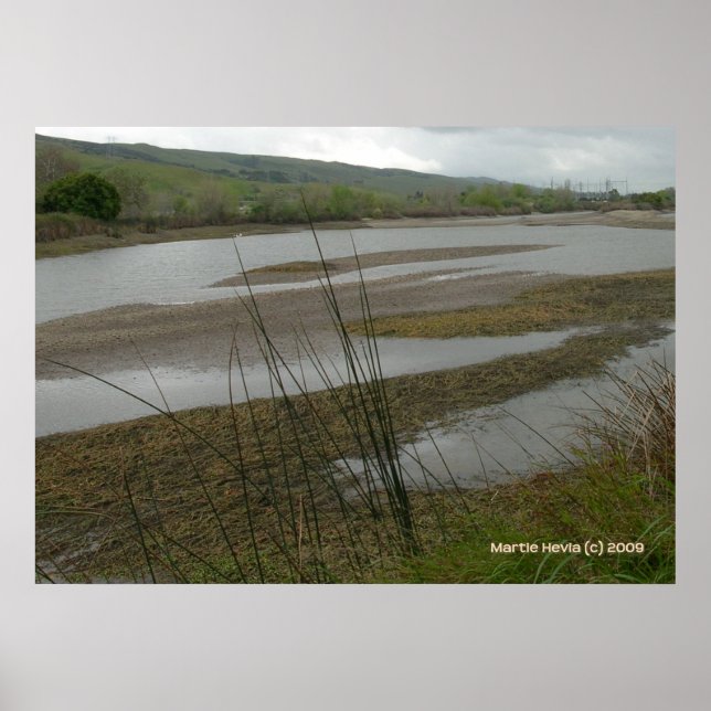 Poster Jour des pluies de Coyote Creek (Devant)