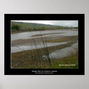 Poster "Jour des pluies de Coyote Creek"