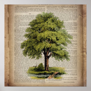 Poster Jour des terres ECO dictionnaire imprime chêne vin