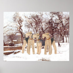 Poster Jour d'hiver