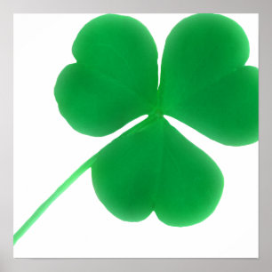 Poster Jour du shamrock vert irlandais   St Patrick
