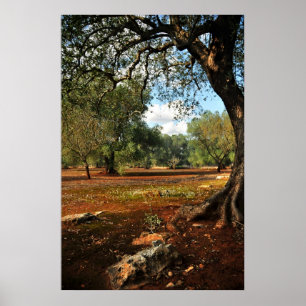 Poster Jour ensoleillé dans le jardin olive