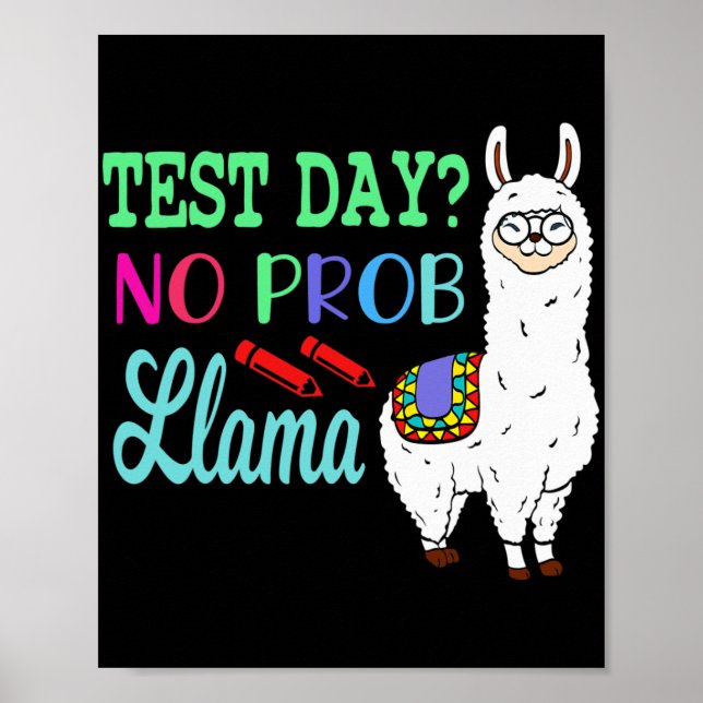Poster Jour No Prob Llama Jour d'essai Aucun problème Jou (Devant)