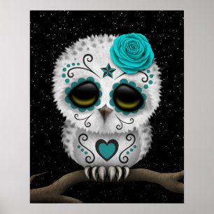 Poster Jour Turquoise des étoiles mortes de la Chouette à