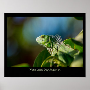Poster Journée mondiale du Lézard, iguane