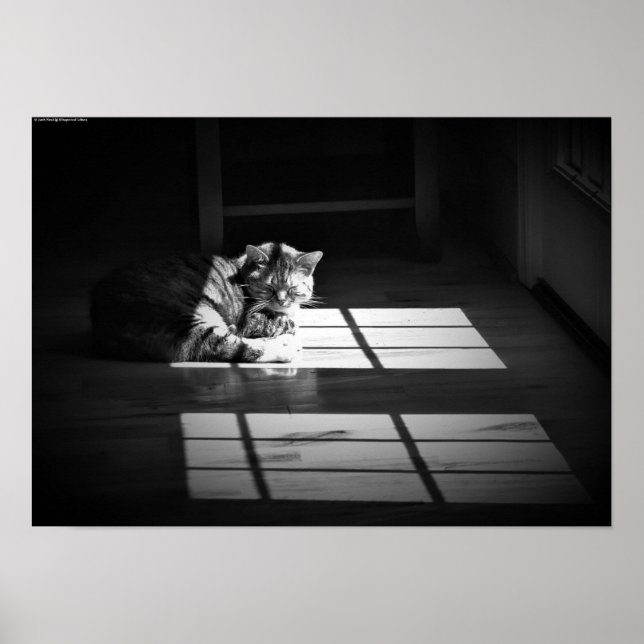 Poster Jours Lents, (Devant)