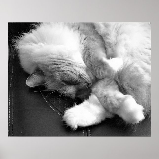 Poster Jours Lents, (Devant)