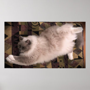 Poster Jours Lents,