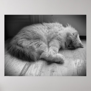 Poster Jours Lents,