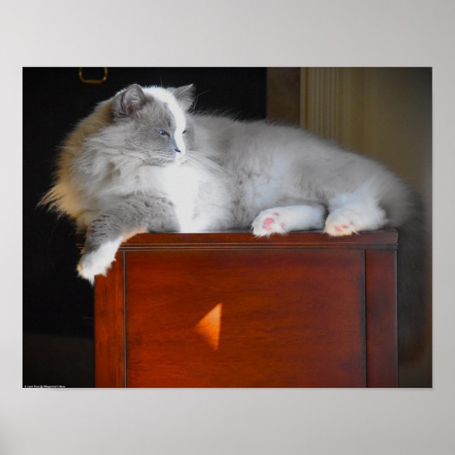 Poster Jours Lents, (Devant)