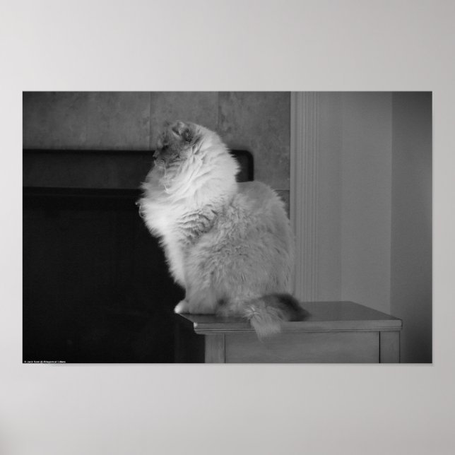 Poster Jours Lents, (Devant)