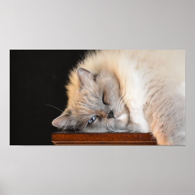 Poster Jours Lents, (Devant)