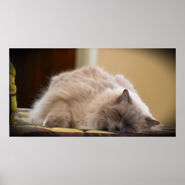 Poster Jours Lents, (Devant)