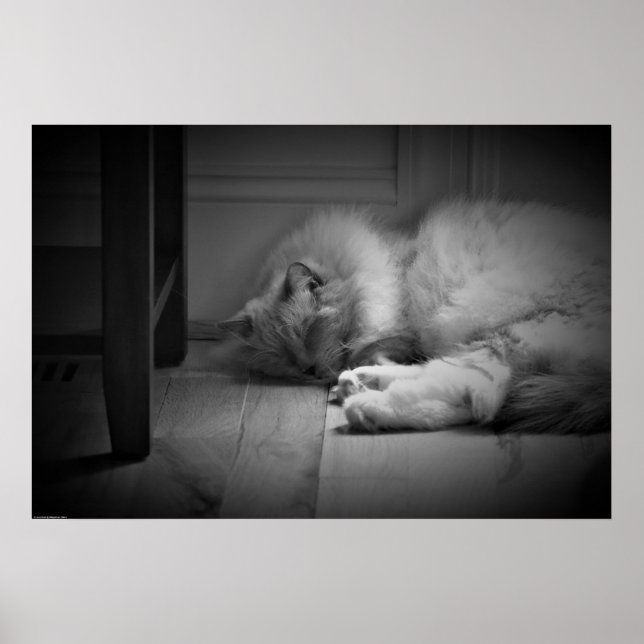 Poster Jours Lents, (Devant)