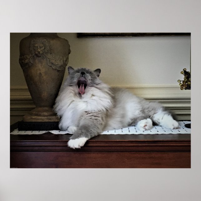 Poster Jours Lents, (Devant)