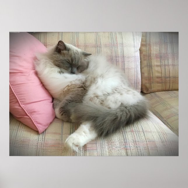 Poster Jours Lents, (Devant)