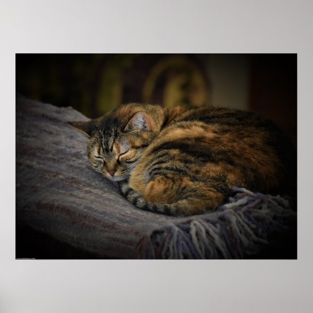 Poster Jours Lents, (Devant)