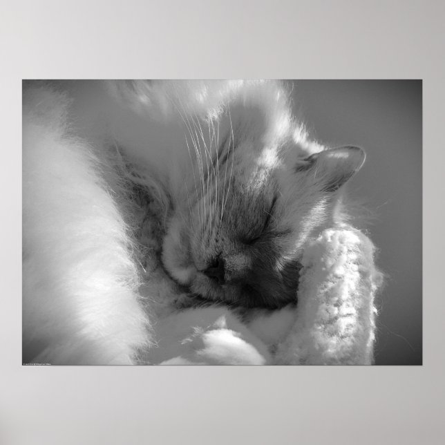 Poster Jours Lents, (Devant)