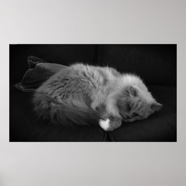 Poster Jours Lents, (Devant)