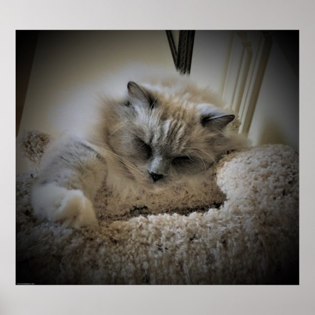 Poster Jours Lents, (Devant)