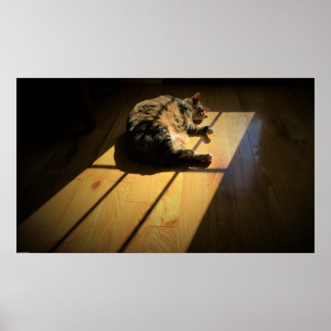 Poster Jours Lents, (Devant)